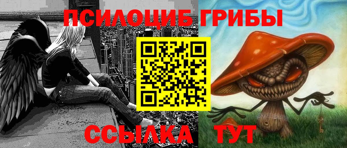 Галлюциногенные грибы Cubensis  Псилоцибиновые грибы MAGIC MUSHROOMS  Вход с VPN  Минеральные Воды 