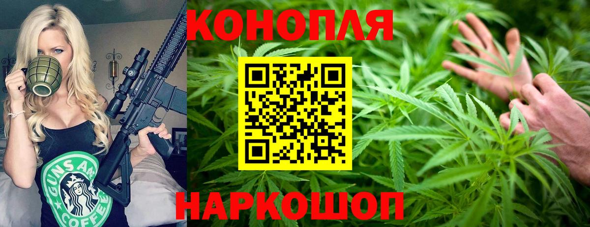 Шишки марихуана OG Kush Минеральные Воды